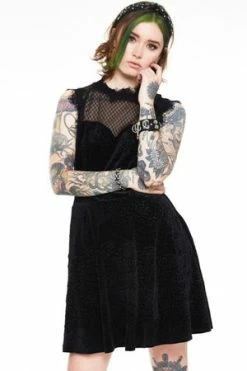 Jawbreaker Embroidered Rose Velvet Skater Dress